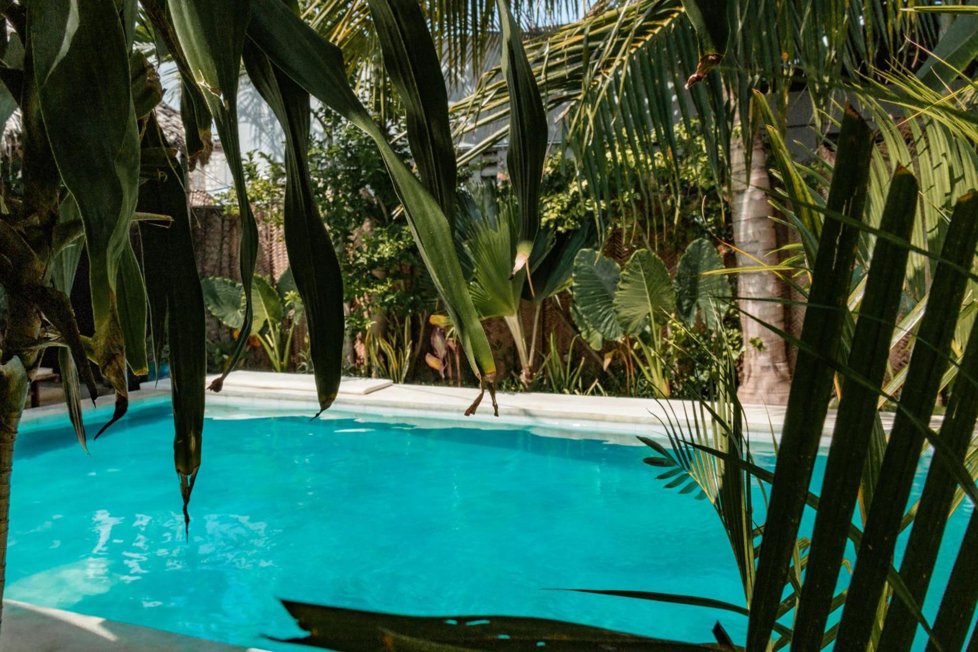 Pili Pili Palm Beach Jambiani  Exterior photo